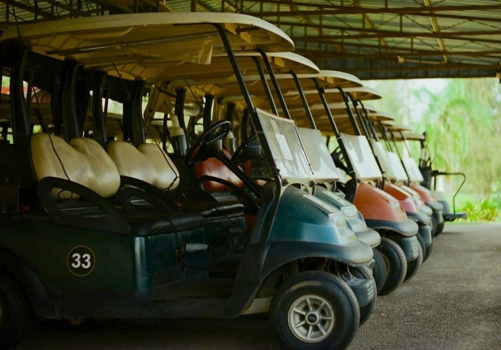 Punta Mita Transportation Golf Cart Booking